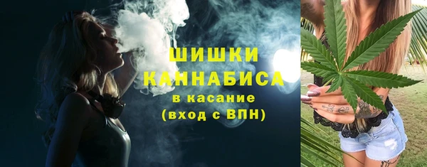 PSILOCYBIN Алзамай