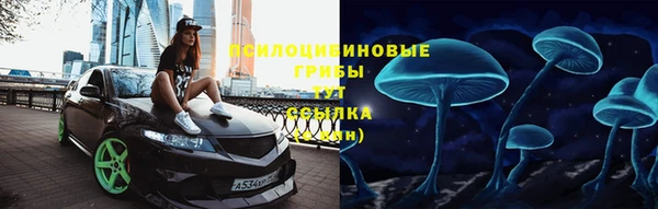 стаф Алексин