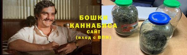 PSILOCYBIN Алзамай