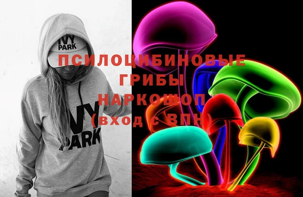 PSILOCYBIN Алзамай