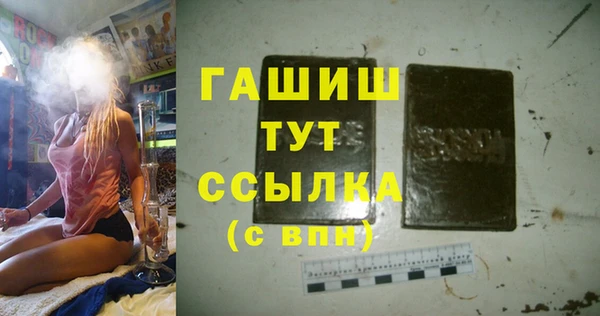 стаф Алексин