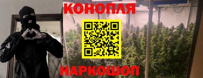 прущий лед Гай