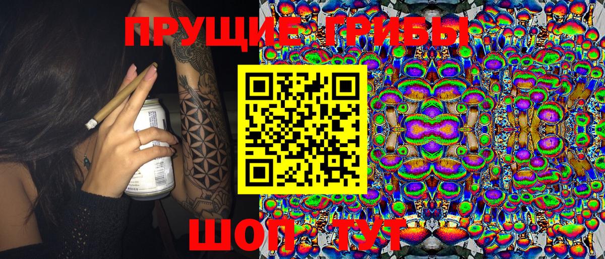 Менделеевск  Галлюциногенные грибы Magic Shrooms  Вход с VPN  Псилоцибиновые грибы прущие грибы 